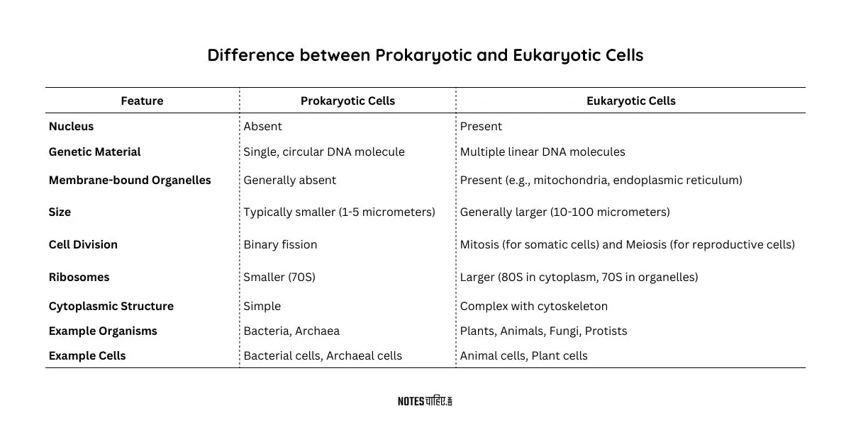 Difference between Prokaryotic and Eukaryotic Cells