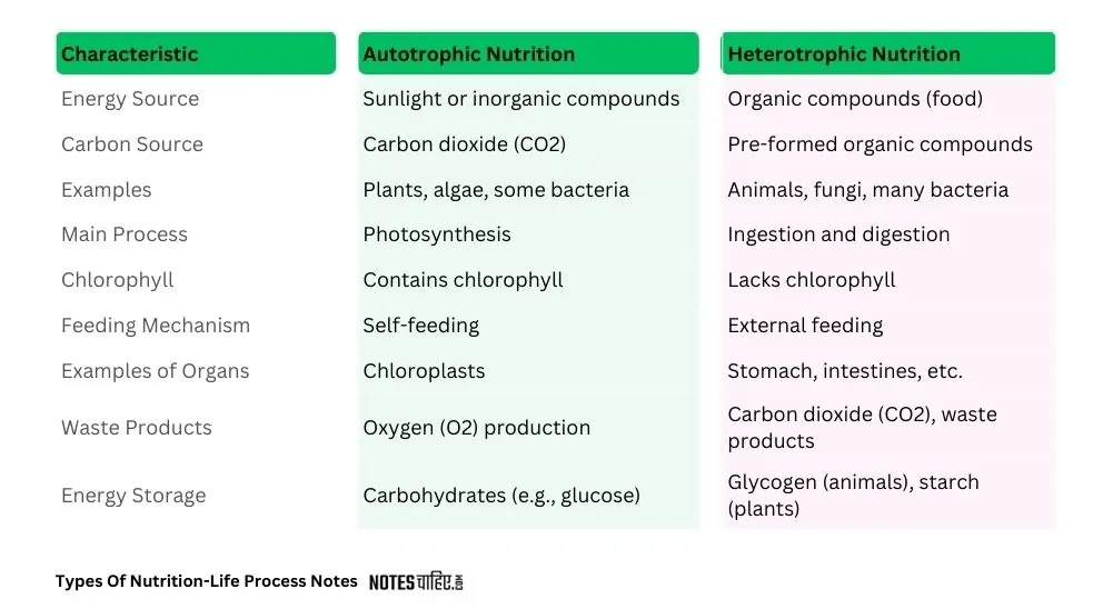 Types Of Nutrition Life Process Notes